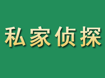 静安市私家正规侦探