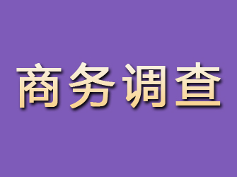 静安商务调查